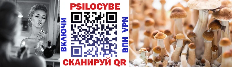 цены Новосибирск Псилоцибиновые грибы Psilocybine cubensis